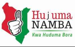 The Huduma Namba Mess