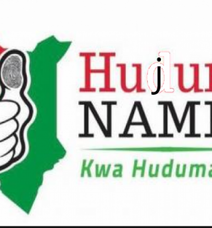 The Huduma Namba Mess